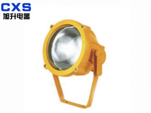 Explosion-Proof Profecting Lamp